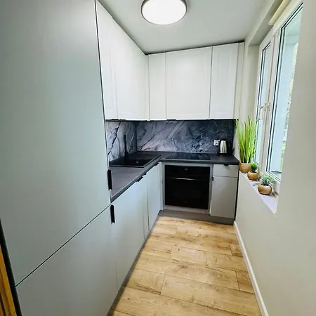 Apartamentysnu, Kosowska Apartment *