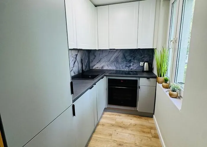 Apartamentysnu, Kosowska 公寓 *